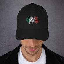 Load image into Gallery viewer, Mexico EMS Dad Hat