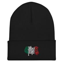 Load image into Gallery viewer, Mexico EMS Beanie
