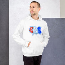 Load image into Gallery viewer, EMS Entertainment Hoodie