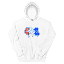 Load image into Gallery viewer, EMS Entertainment Hoodie