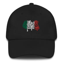 Load image into Gallery viewer, Mexico EMS Dad Hat

