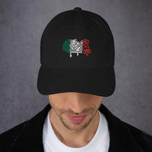 Load image into Gallery viewer, Mexico EMS Dad Hat
