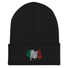 Load image into Gallery viewer, Mexico EMS Beanie

