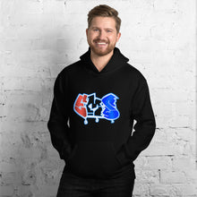 Load image into Gallery viewer, EMS Entertainment Hoodie
