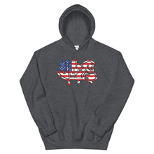 Load image into Gallery viewer, American EMS Hoodie (Unisex)
